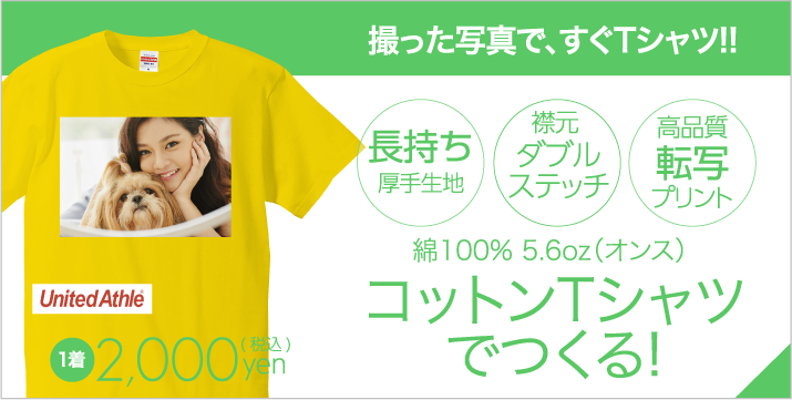 カラーコットンTシャツ
